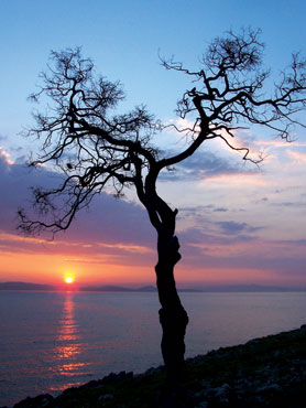 izmir-24-kara-4pdf-2 Karaburun