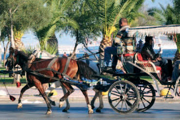 untitled-1-2 Karşıyaka