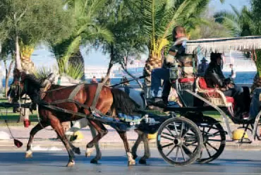 Karşıyaka
