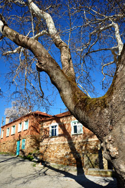 yesilkoy-23-2 Kemalpaşa