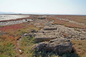 Elaia-Antik-Kenti-300x200-2 Elaia Antik Kenti