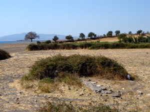 Gryneion-Antik-Kenti-300x225-2 Gryneion Antik Kenti